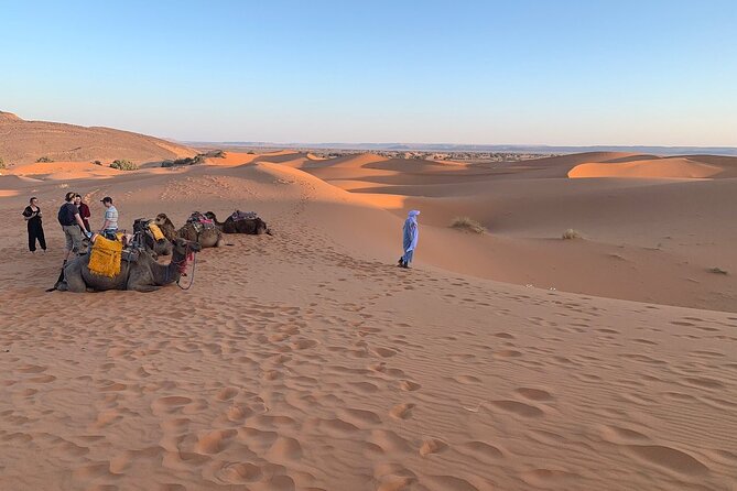 4×4 Jeep Desert Safari Tour With Lunch And Camel Ride Tour Details