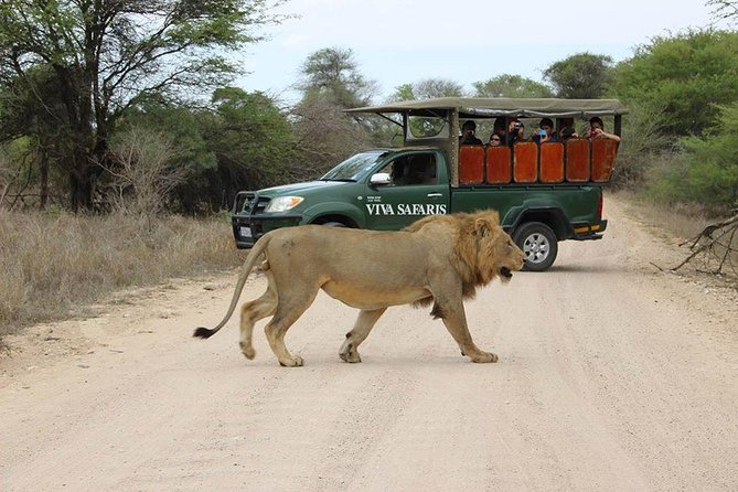 5 Day Classic Kruger National Park Safari Exploring The Big Five