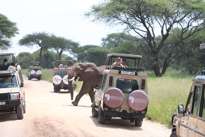 5 Day Mid Range Tanzania Safari Tour Details