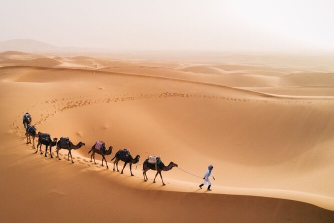 5 Days Sahara Desert Tour From Casablanca & Night In Luxury Camp Tour Overview