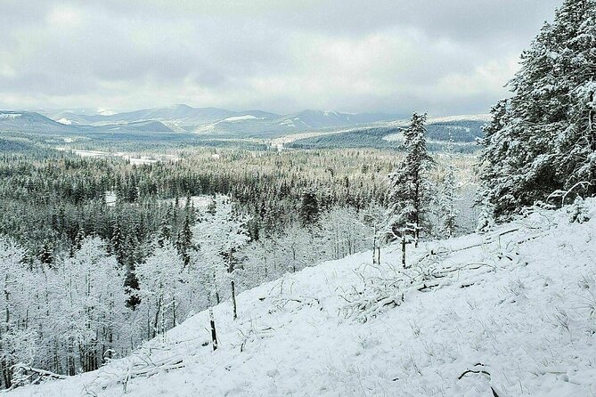 5 Hours Winter Wonderland Guided Hike To Fullerton Loop Trekking Through The Snow