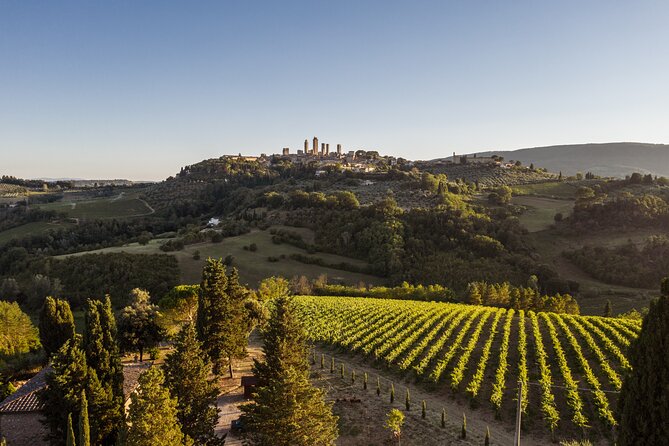 5 Wine Tastings In San Gimignano Wine Tasting Experience Overview