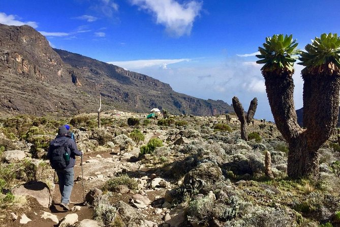 6 Days Machame Route Kilimanjaro Trekking Overview Of The Tour