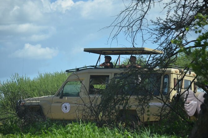 6 Days Tanzania Budget Safari Tour Details