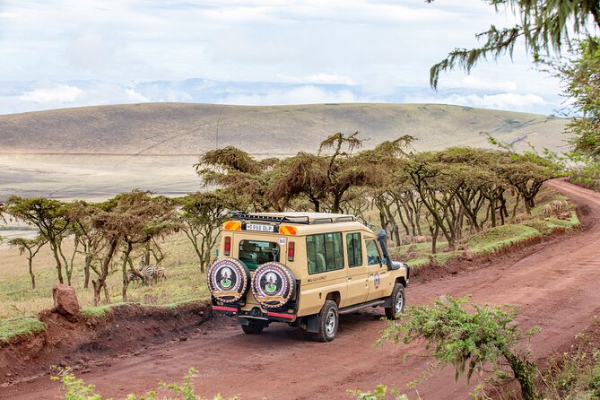 6 Days The Best Of Tanzania Safari Exploring Tarangire Or Lake Manyara