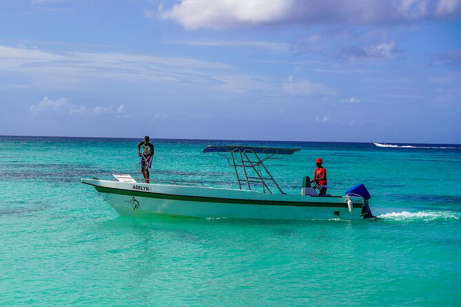 6 Hour Private Saona Island Tour With Snorkeling Overview Of The Tour