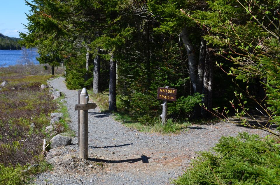 6 Hour Private Tour: Ultimate Acadia Tour With Lobster Lunch - Explore Cadillac Mountain