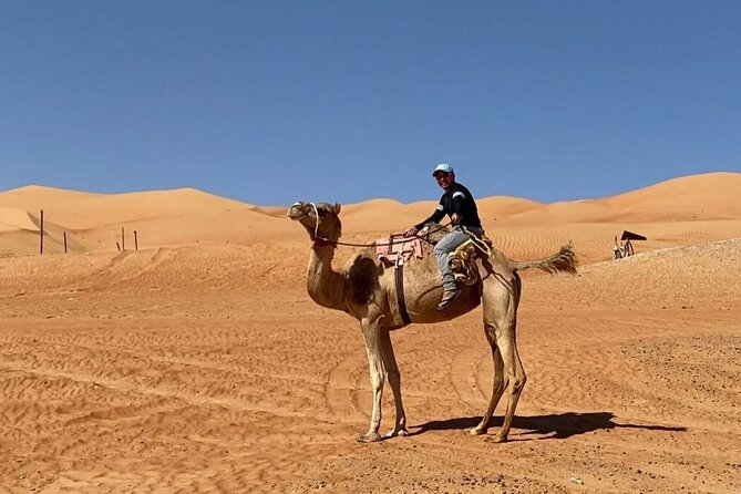 7 8 Hours Private Desert Adventure Trip With Activities Overview Of The Adventure