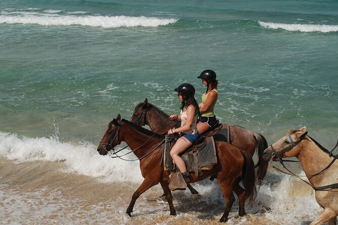 7 Day Adventure Tour In Punta Cana With Pickup Tour Overview