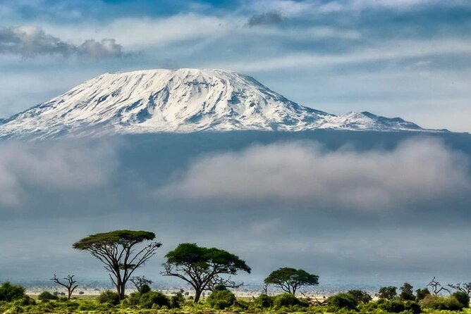 7 Days Kilimanjaro Via Machame Route Affordable Price Tour Overview