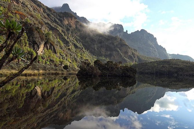 7 Days Rwenzori Summit (Margherita Peak) Hike - Exploring the Rwenzori Mountains