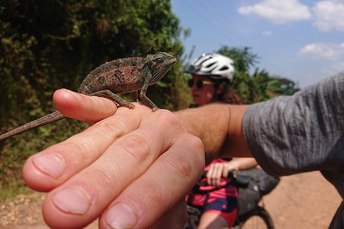 7 Hours Guided Cycling Tour To Sezibwa Waterfalls Inclusions And Exclusions