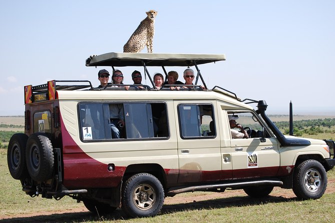 8 Day Masai Mara, Lake Nakuru, Lake Naivasha Amboseli Safari Explore Kenyas Top Reserves