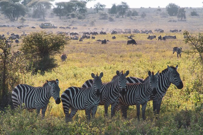 8 Day Safari The Best Of Tanzania & Lake Eyasi Safari Overview