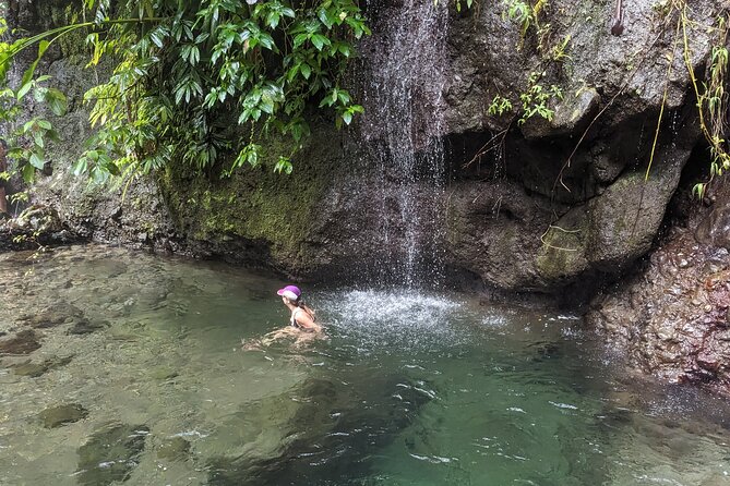 A Day Of Relaxation In The Jungle And Waterfalls Of Dominica Activities Offered