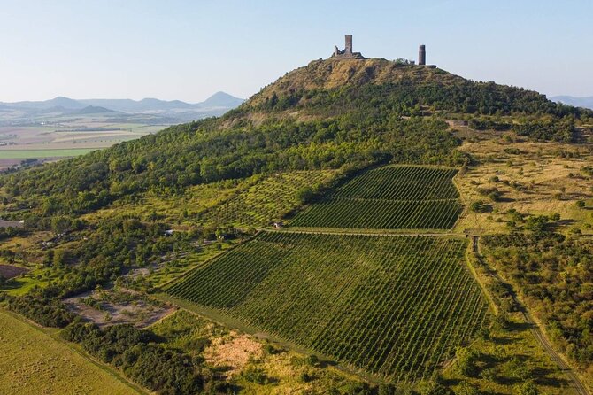 A Delightful Wine Tasting In The Scenic Countryside With Lunch Tour Overview