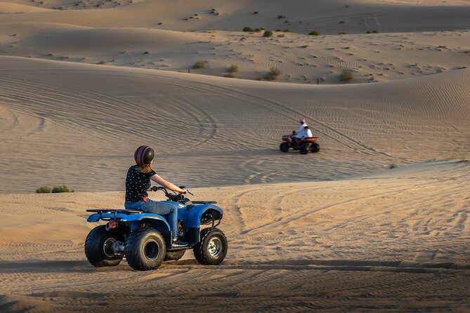 Abu Dhabi Full-Day Desert Safari - Tour Overview