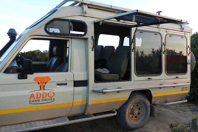 Addo Elephant 5 Hour Morning Safari. Overview Of The Safari