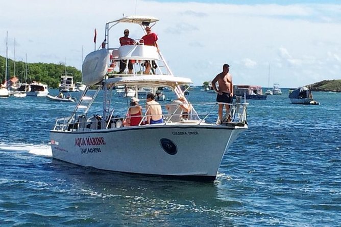 Afternoon Snorkeling Adventure in St Thomas - Included in the Tour