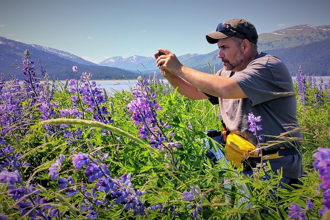 Afternoon Wilderness, Wildlife, Glacier Experience From Anchorage - Explore Chugach National Forest