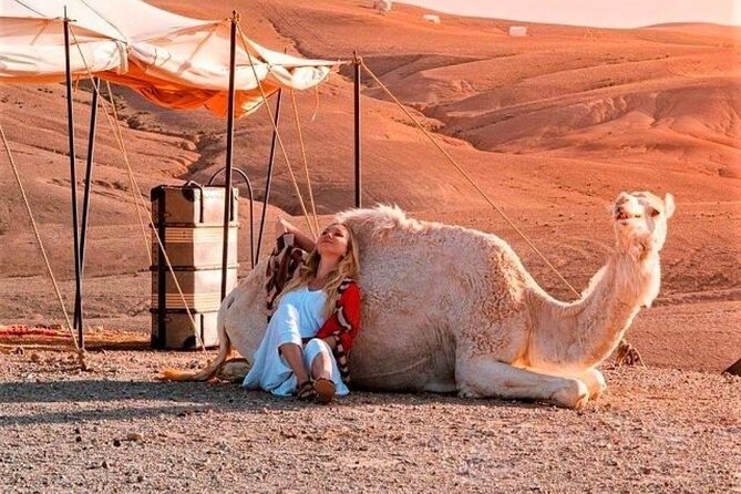 Agafay Desert: Dinner + Show With Quad Bike & Sunset Camel Ride Dinner And Cuisine