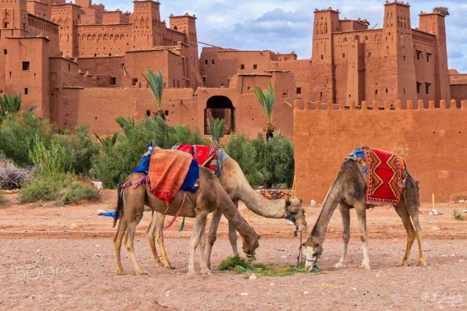 Ait Ben Haddou And Ouarzazate Day Trip Overview Of The Day Trip