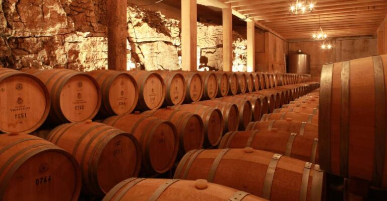 Aix En Provence: Half Day Wine Tour In Coteaux D'aix Exploring Provences Organic Wineries