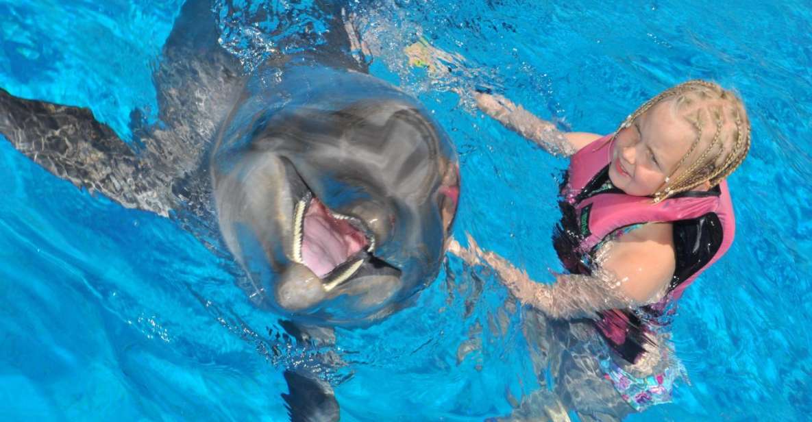 Alanya: Dolphin and Seal Show Ticket With Hotel Transfers - Overview of the Experience