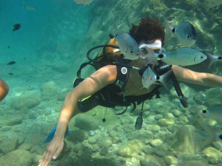 Alanya: Scuba Diving Experience With Lunch Alanya Marina Arrival And Briefing