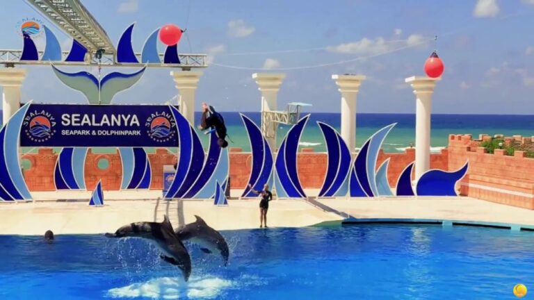 Alanya: Sealanya Dolphin Park Dolphin Show Tour Tour Details And Highlights