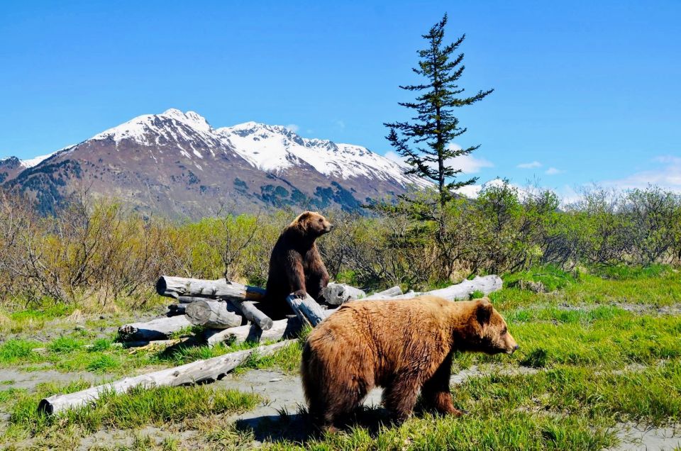 Alaska Wildlife Conservation Center: Admission Ticket - Admission and Ticket Details