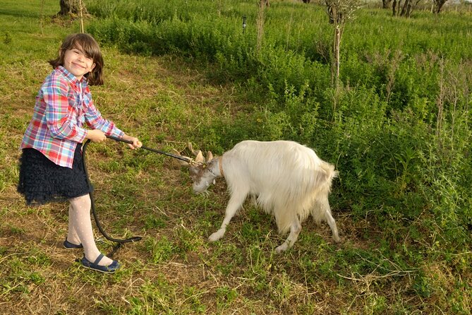 Alcamo Farm Animals and Aromatic Garden - Overview and Experience