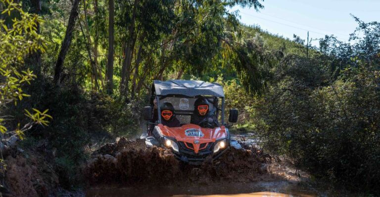 Algarve: Half Day Getaway 3 Hours Off Road Buggy Tour Tour Details