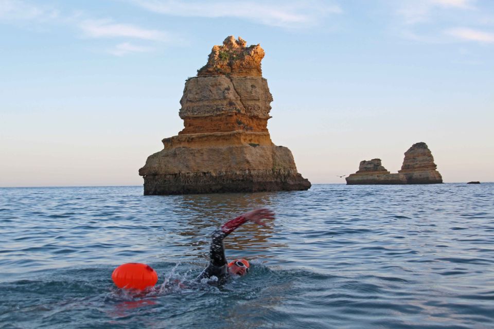 Algarve: Open Water Swimming - Overview and Price