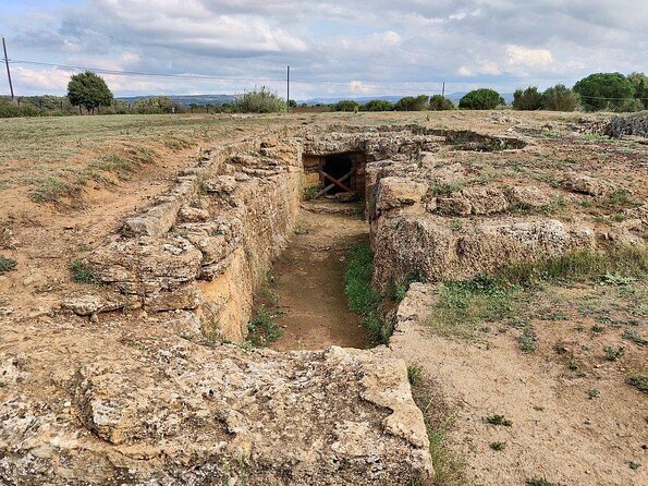 Alghero: Private Archaeological Tour (transfer Included) With Local Guide Tour Logistics