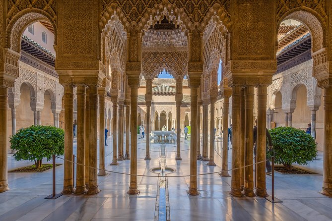 Alhambra And Granada Private Tour From Malaga Accessibility And Requirements