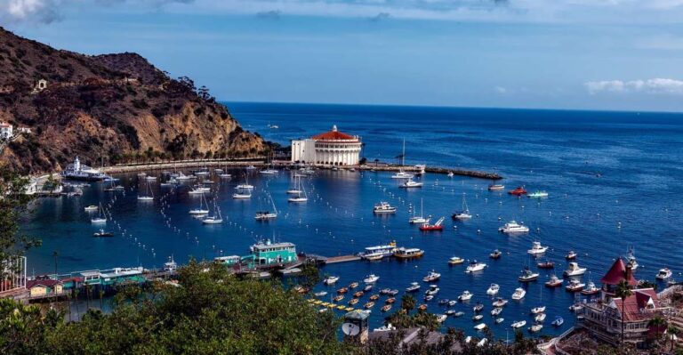 All Inclusive Guided Tour Of Catalina Island From Orange Co Scenic Ferry Ride To Catalina