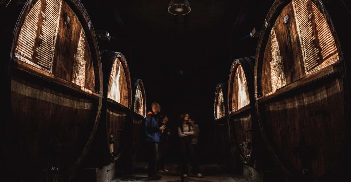 Alsace: Guided Wine Tasting and Cellar Visit - Overview of the Experience