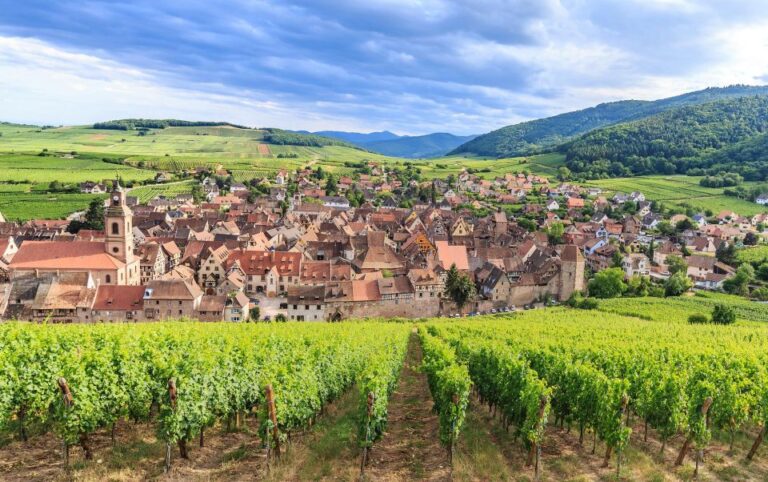 Alsace Wine Odyssey: Full Day Private Tour From Strasbourg Tour Overview