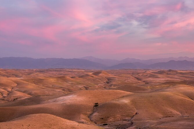 Amazing Dinner In Agafay Desert With Sunset And Berber Camp Overview Of The Experience