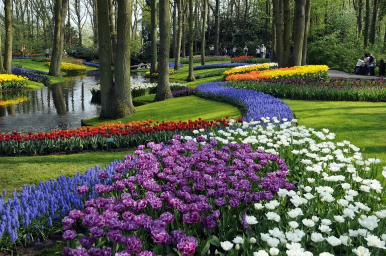 Amsterdam: Canal Cruise & Keukenhof Ticket With Shuttle Bus Overview Of The Tour