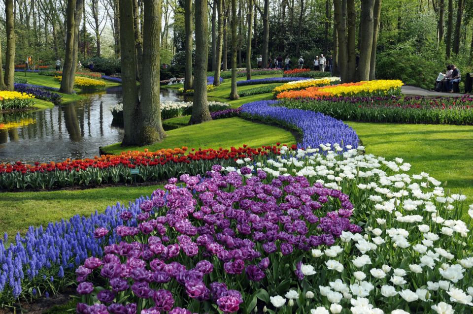 Amsterdam: Canal Cruise & Keukenhof Ticket With Shuttle Bus - Overview of the Tour