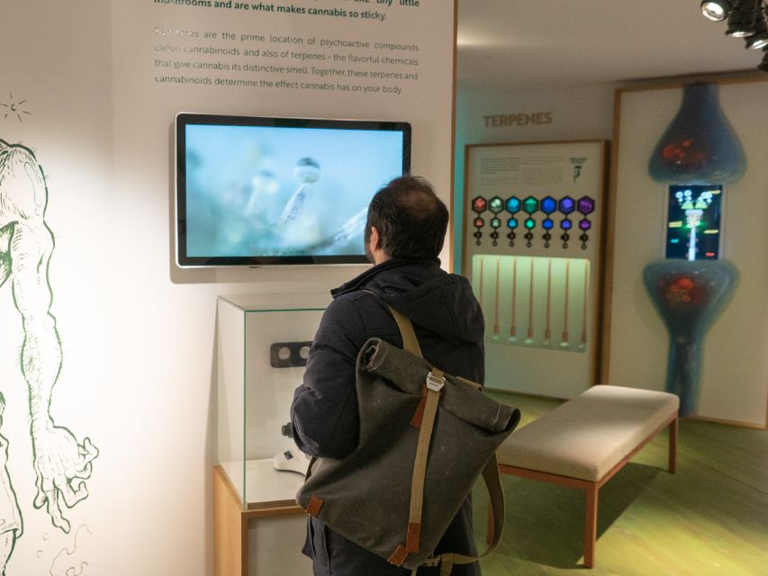 Amsterdam: Cannabis Museum Entry Ticket - Ticket Information and Pricing