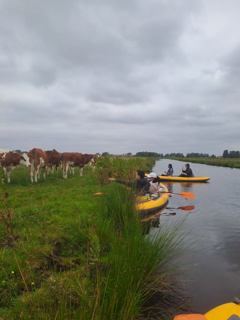 Amsterdam: Countryside Bike And Kayak Guided Tour Tour Overview