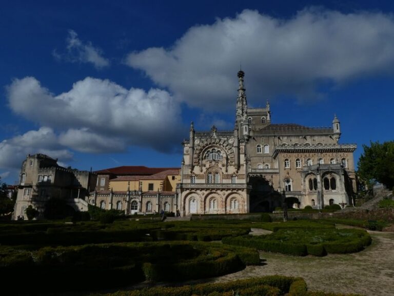 An Adventure Through The Forest And Palace Of Bussaco Coim Tour Overview