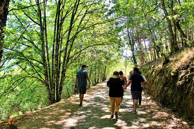 An Adventure Through the Schist Villages of Lousã - Tour Overview