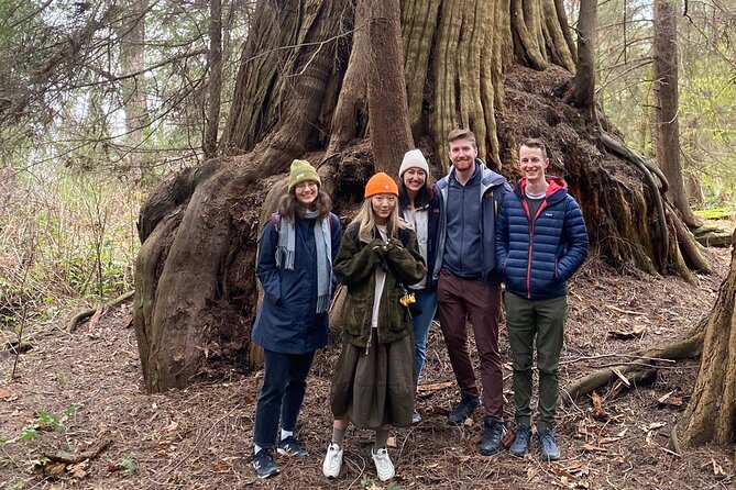 Ancient Trees Of Vancouver Walking Tour Tour Overview