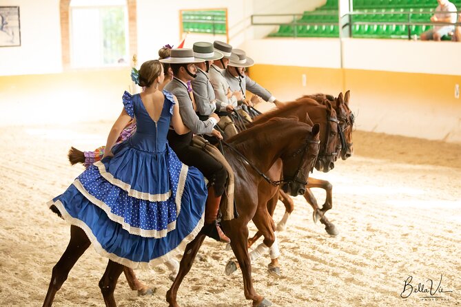 Andalusian Horses And Flamenco Show With Transportation Overview Of The Experience