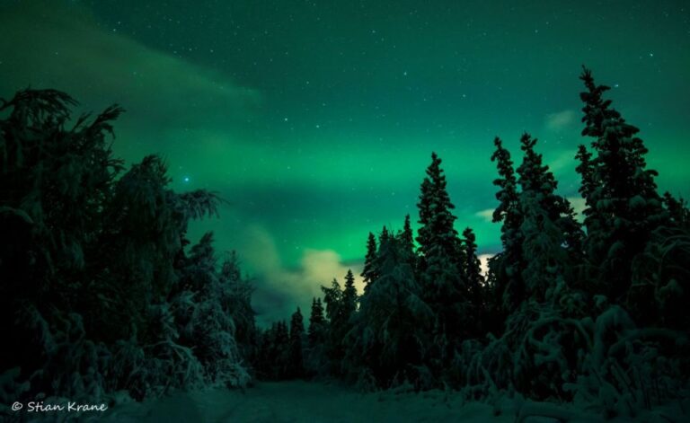 Arctic Adventure: Northern Lights Hunting With Snowmobiles Overview Of The Arctic Adventure