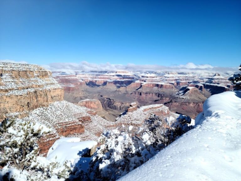 Arizona: Grand Canyon National Park Tour With Lunch & Pickup Exploring The Rim Trail